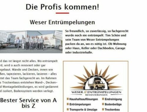 Sonderthemen bild.de – Die Profis kommen