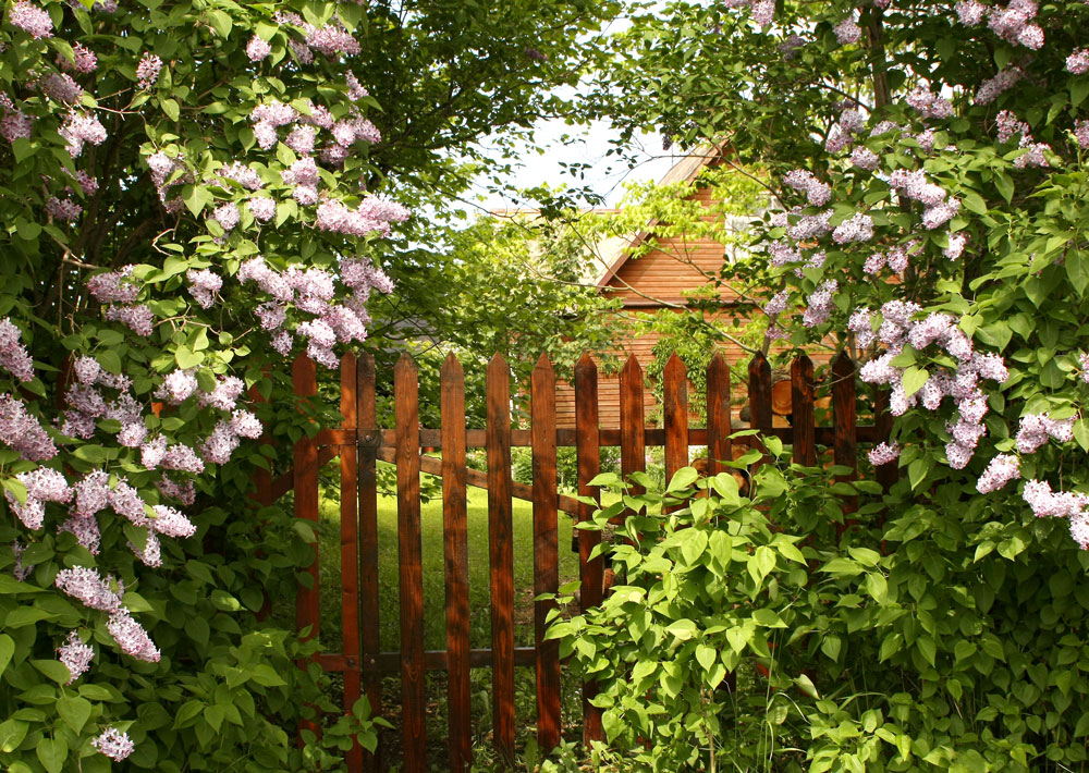 gartenhausabriss